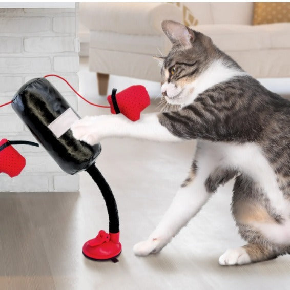 Interactive Cat Punching Bag Toy | Suction Cup Exercise Toy