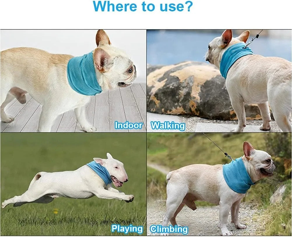 Dog Cooling Bandana & Collar