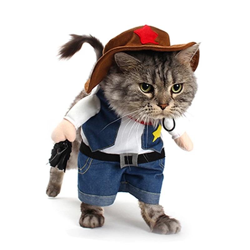 Cowboy Pet Costume