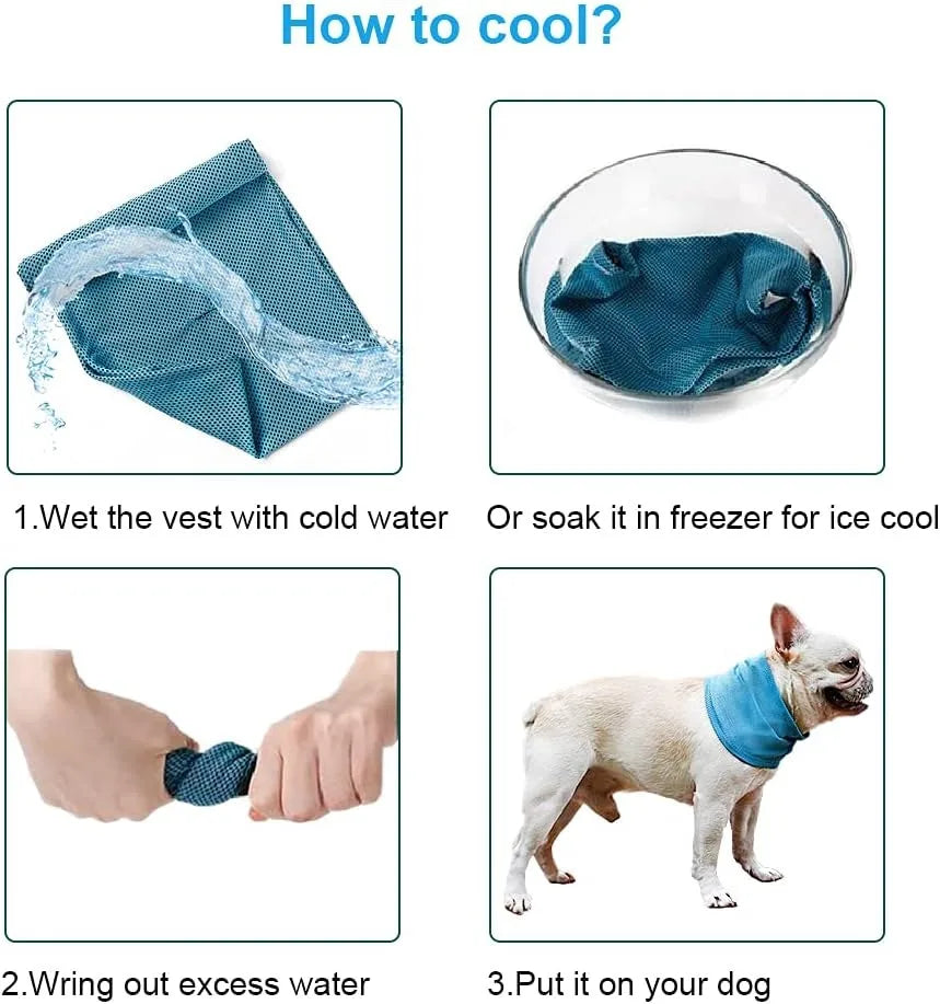 Dog Cooling Bandana & Collar