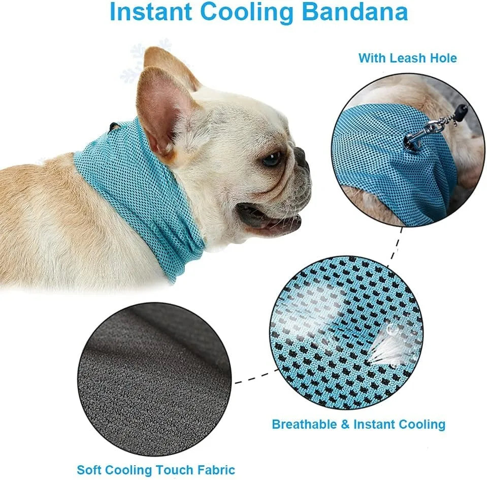 Dog Cooling Bandana & Collar