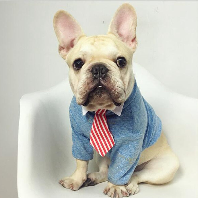 Pet Bow Tie Collar