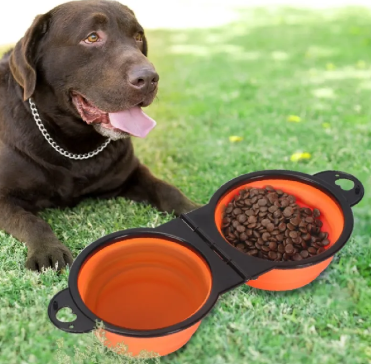 Outdoor Pet Feeder | Automatic Weatherproof Food & Water Station for Dogs & Cats