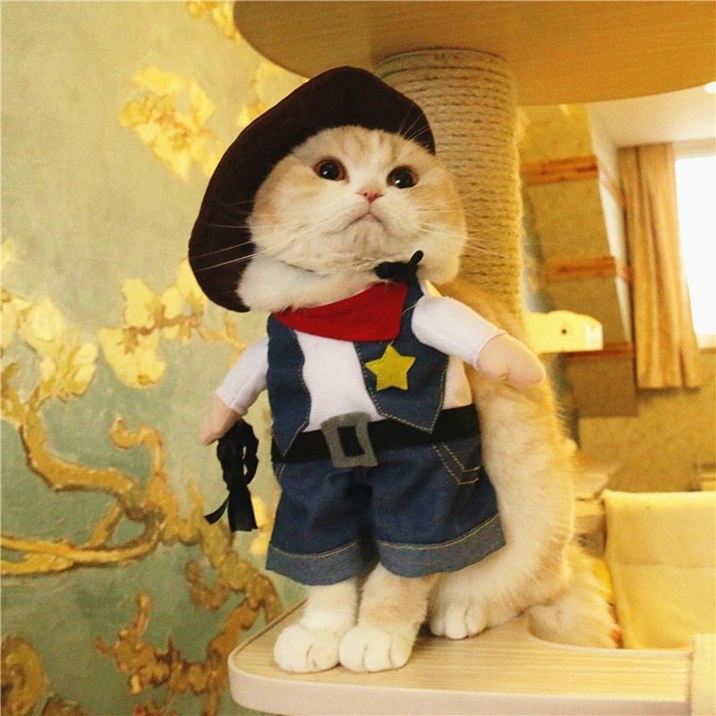 Cowboy Pet Costume