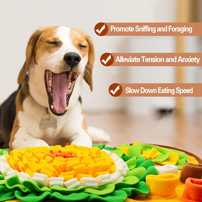 Washable Pet Sniff & Puzzle Mat