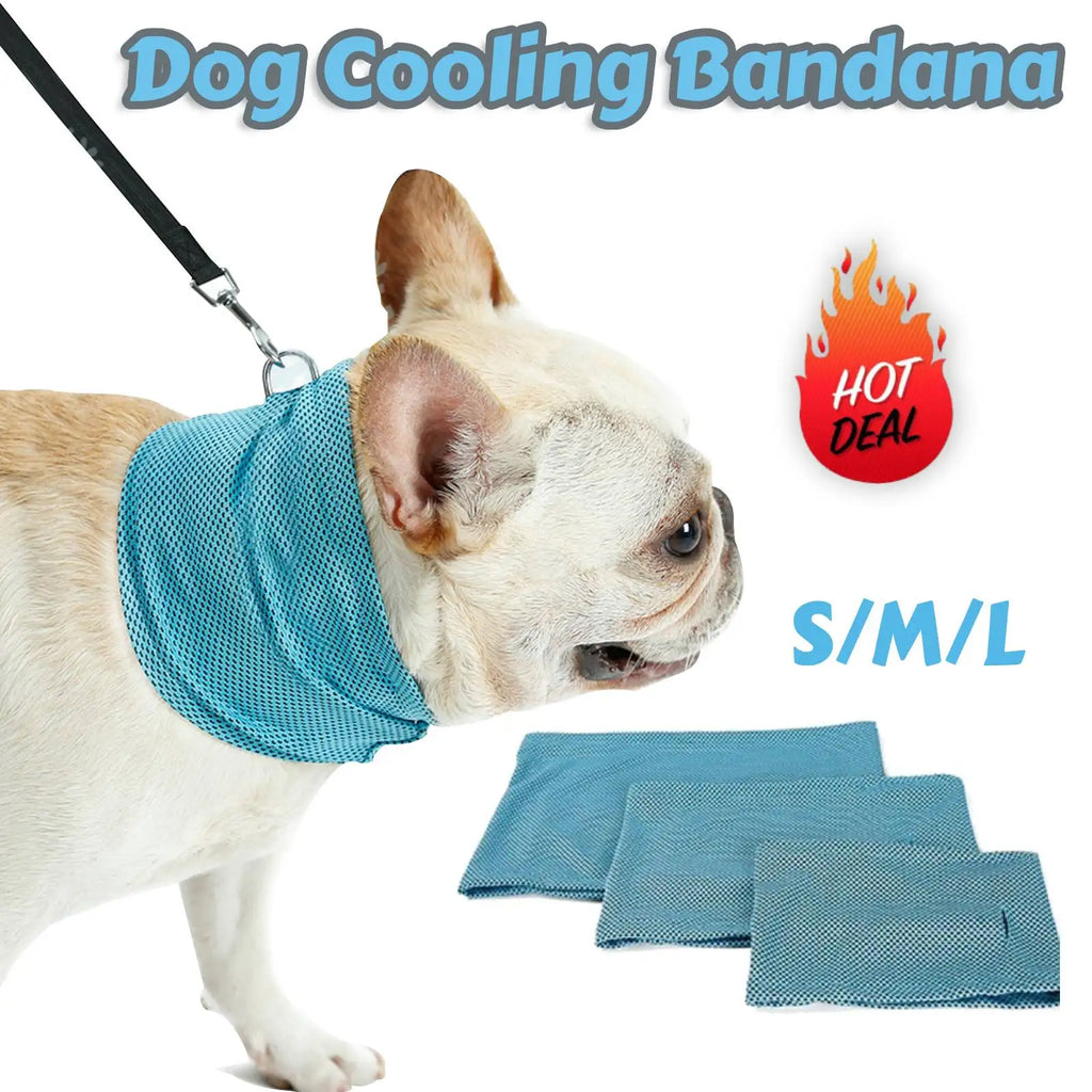 Dog Cooling Bandana & Collar