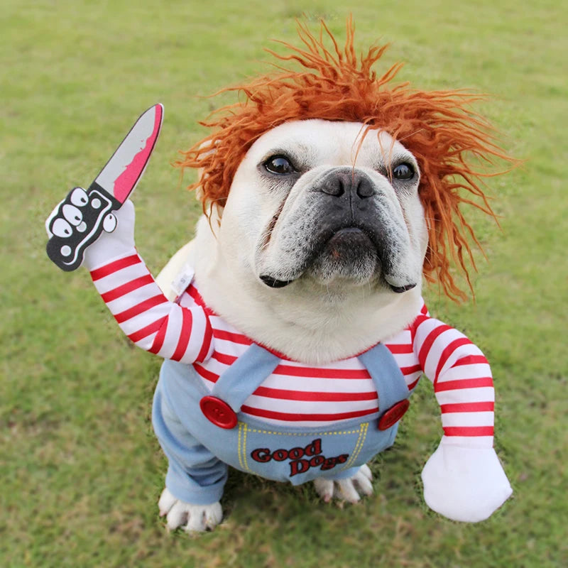 Halloween Cosplay Costume Set for Dogs
