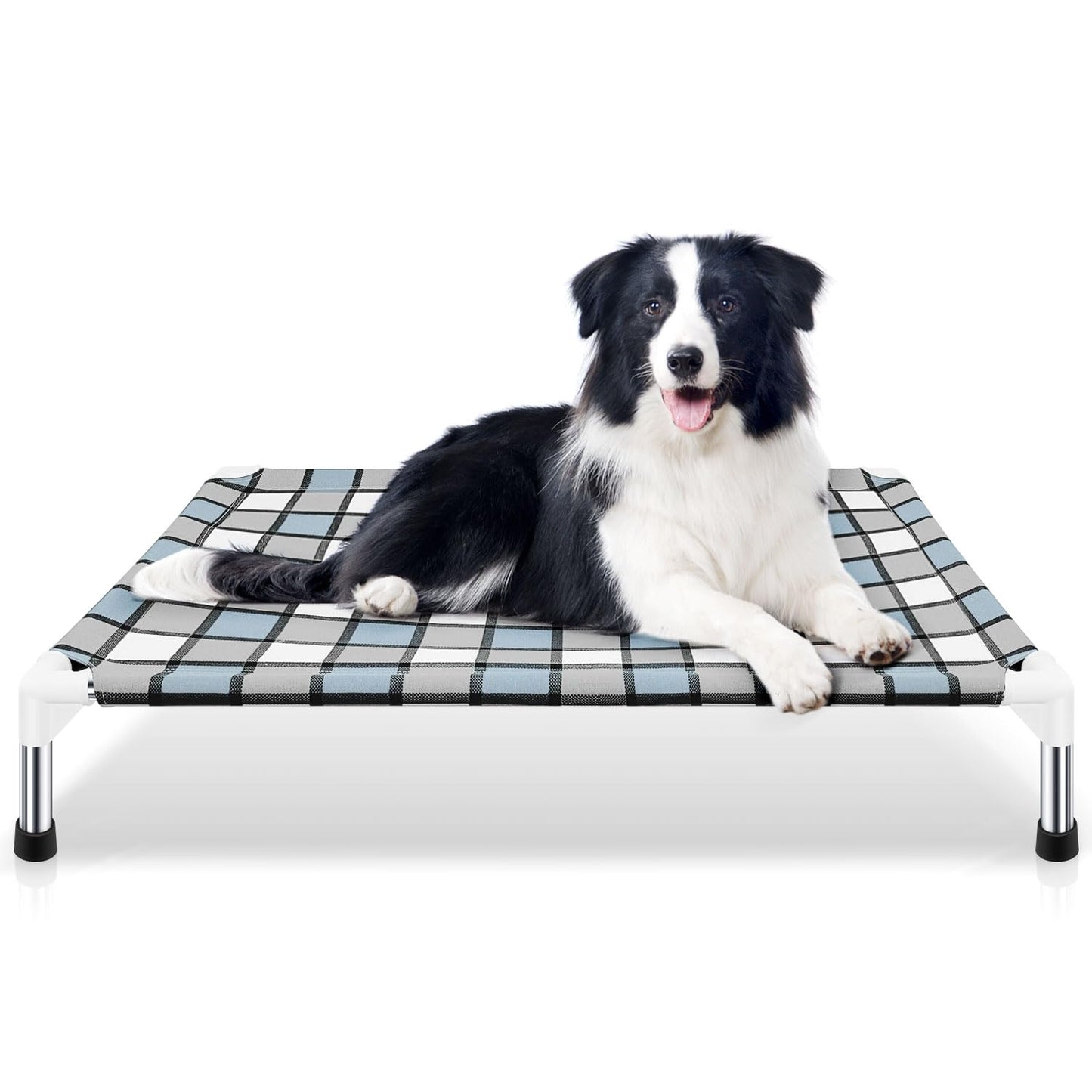 Elevated Dog Bed | Raised Outdoor Pet Cot for Medium Dogs