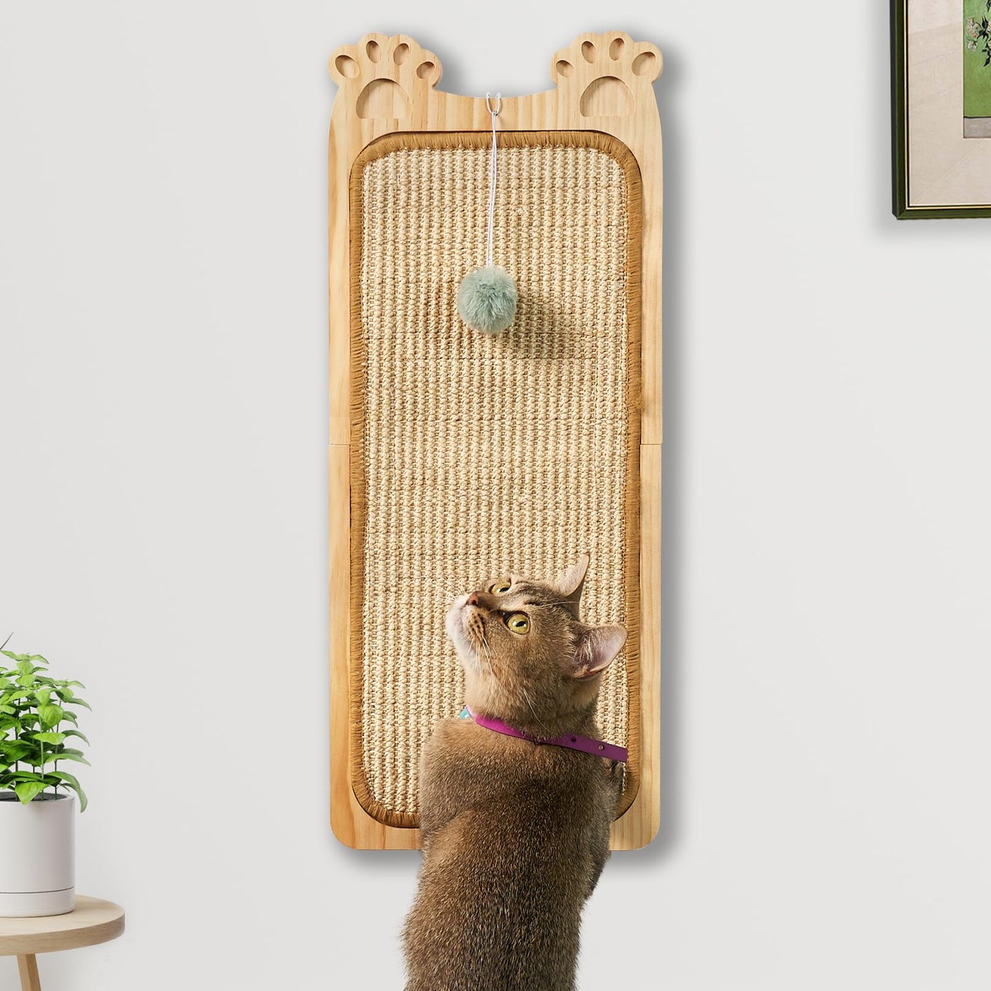 Wall Mounted Cat Scratcher with Sisal & Ball Toy